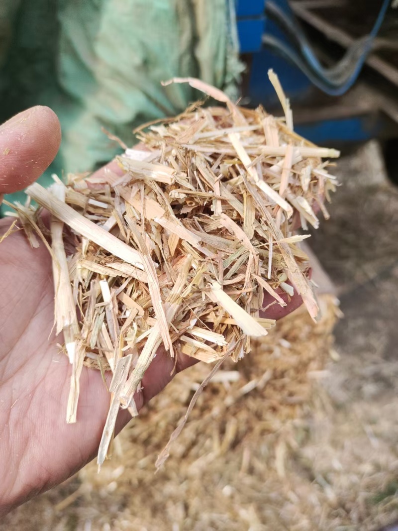 常年大量出售花生秧，羊草，压块麦草，花生秧草粉...……