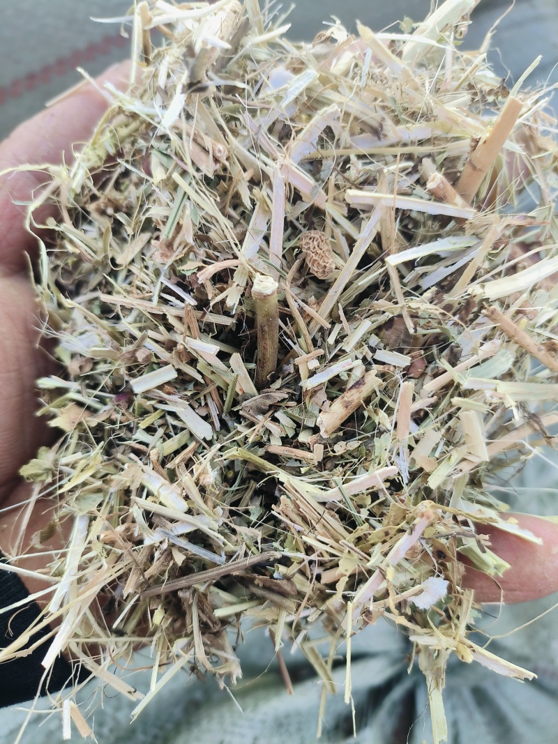 花生秧叶粉，花生秧羊草