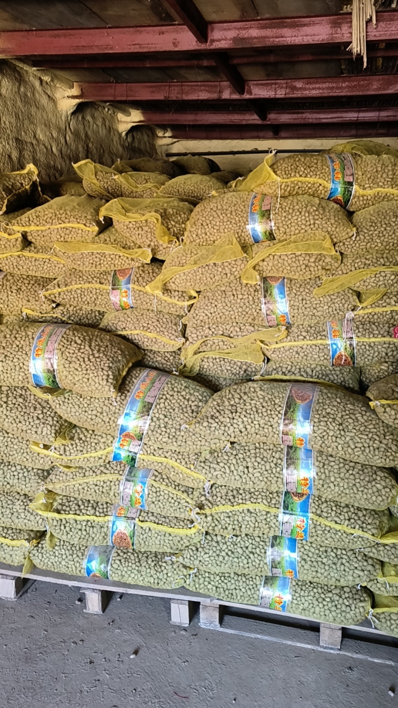 青州市新鲜山药豆原产地批发零售规格齐全串糖球专用品