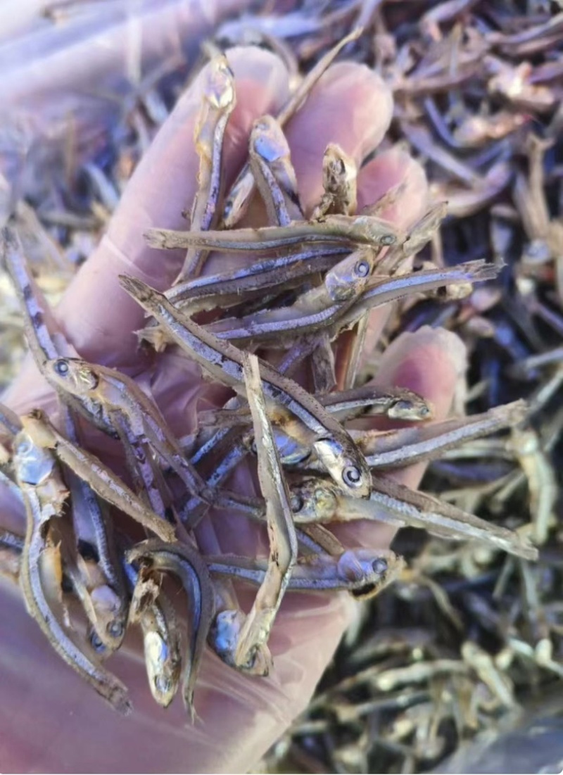 公干鱼干度好电商专用一箱净29斤产地批发大量供货