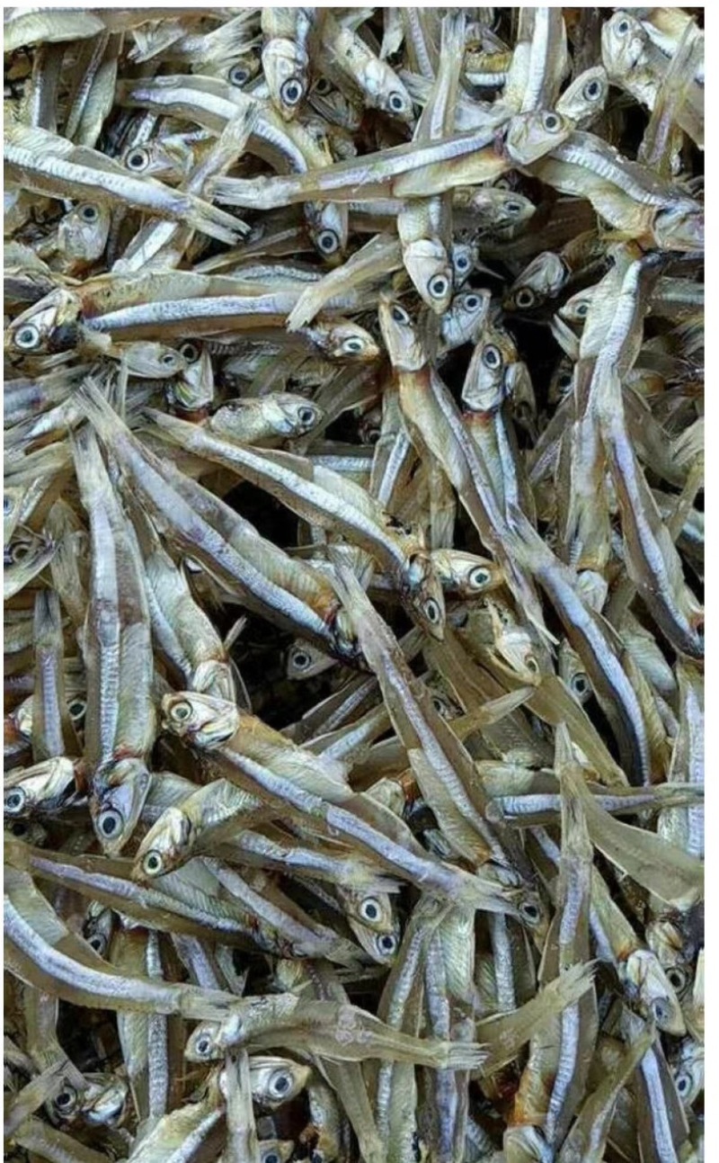 公干鱼干度好电商专用一箱净29斤产地批发大量供货