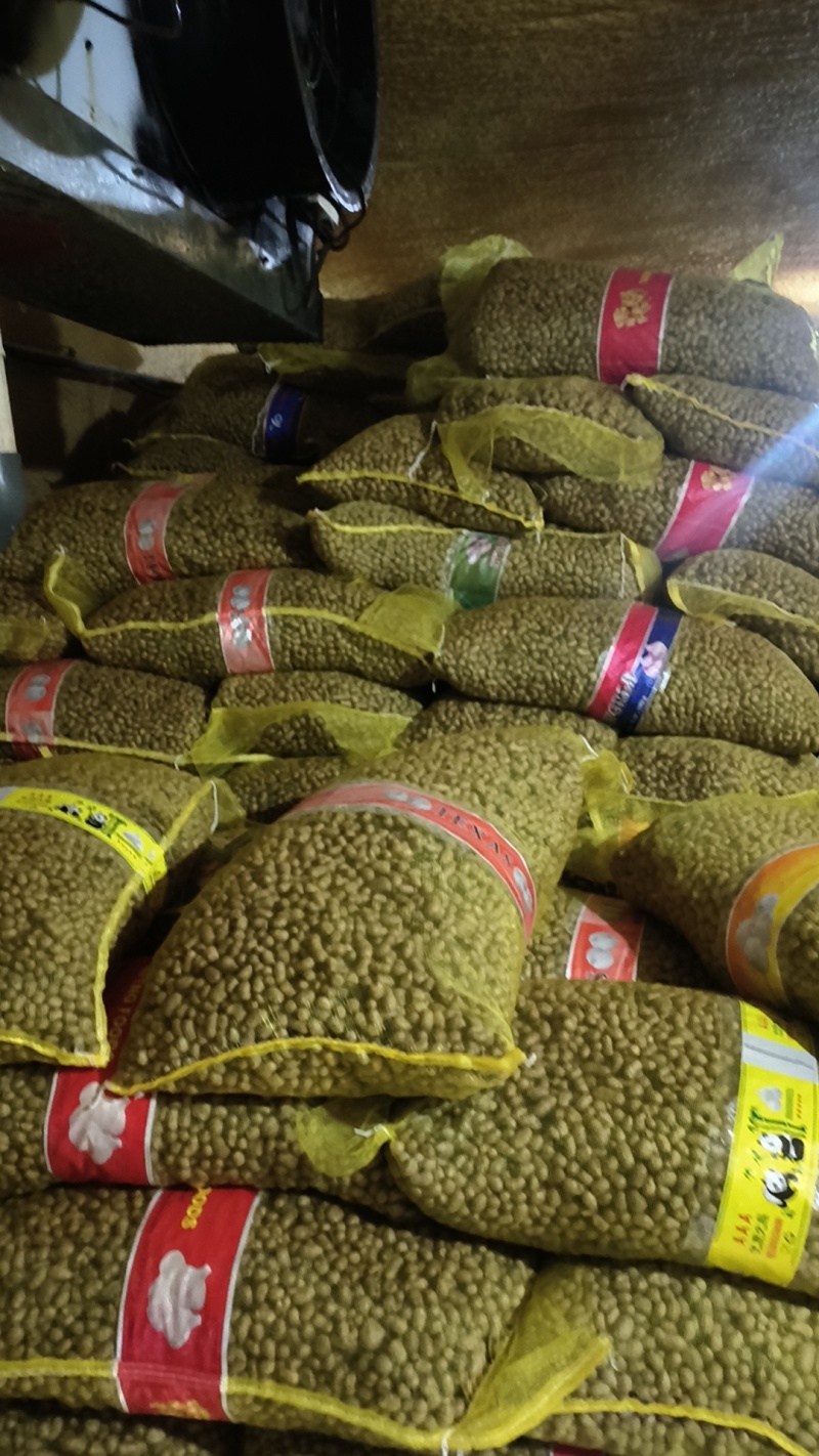 青州白玉山药豆原产地直销，电商中豆育苗大豆串糖球山药豆