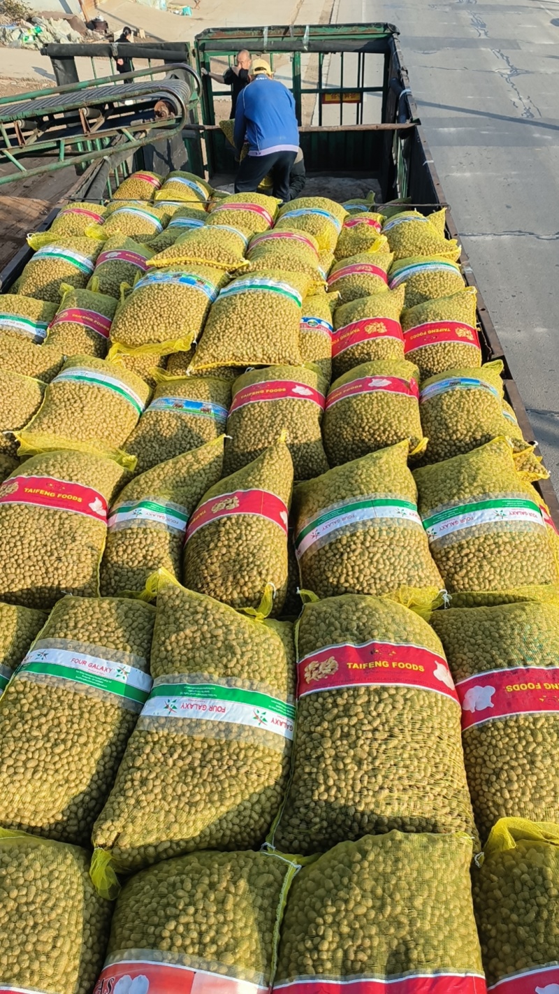 青州白玉山药豆原产地直销，电商中豆育苗大豆串糖球山药豆