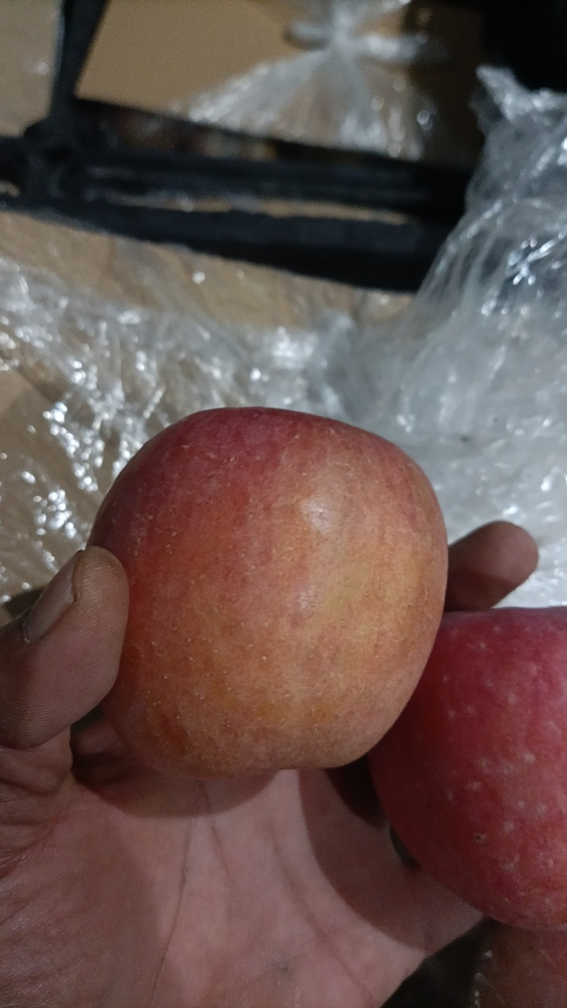 山西精品红富士苹果/产地直发量大从优货源充足