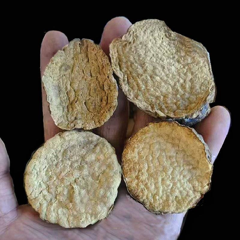 肉苁蓉片硬质大芸切片新疆特产泡茶泡水喝沙漠宝包邮批发
