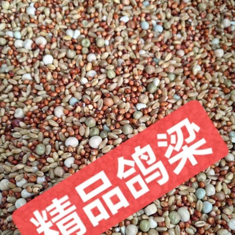 鸽粮无玉米鸽子粮小鸽幼鸽成鸽观赏鸽肉鸽信鸽食精品鸽子饲料