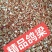 鸽粮无玉米鸽子粮小鸽幼鸽成鸽观赏鸽肉鸽信鸽食精品鸽子饲料