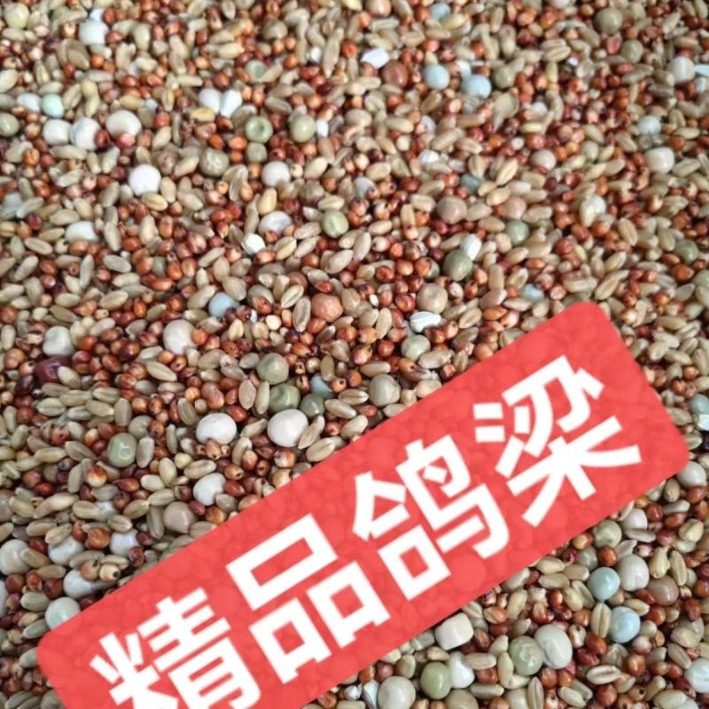 鸽粮无玉米鸽子粮小鸽幼鸽成鸽观赏鸽肉鸽信鸽食精品鸽子饲料