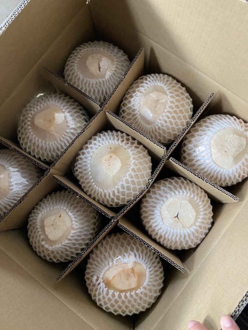 海南椰子，海南文昌本地椰子，皮毛干净，鲜艳，口感极佳