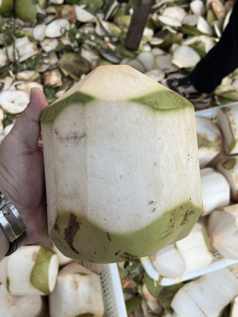 海南椰子，海南文昌本地椰子，皮毛干净，鲜艳，口感极佳