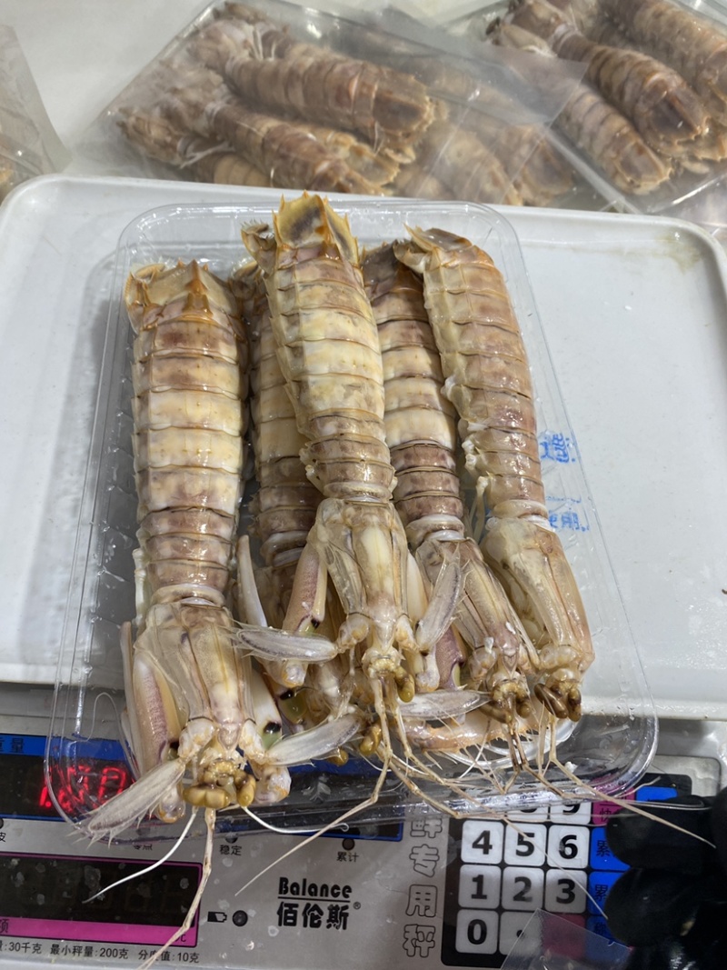 鲜活皮皮虾熟冻赖尿虾虾爬子海鲜海虾北海水产