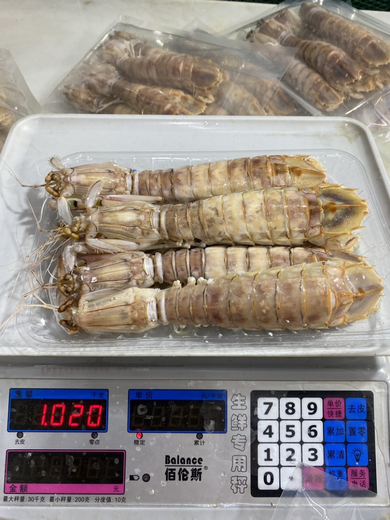 鲜活皮皮虾熟冻赖尿虾虾爬子海鲜海虾北海水产