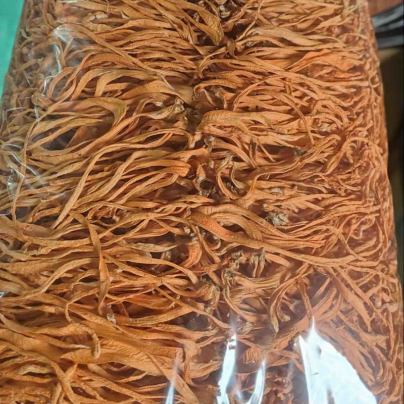 1000克排虫草