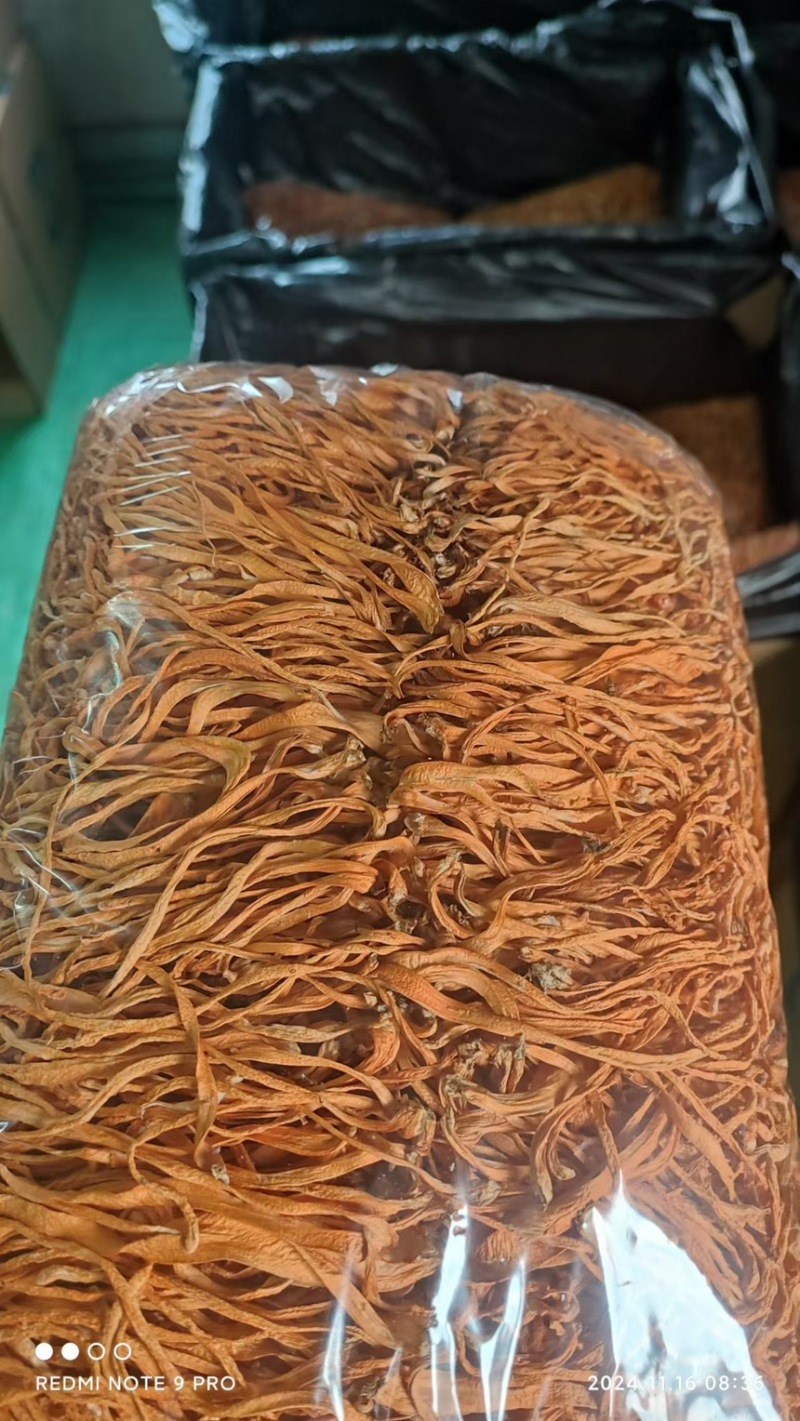 1000克排虫草
