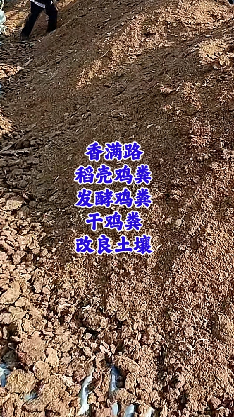 青岛鸡粪,枣庄发酵鸡粪,潍坊干鸡粪,济南晒干鸡粪,稻壳粪