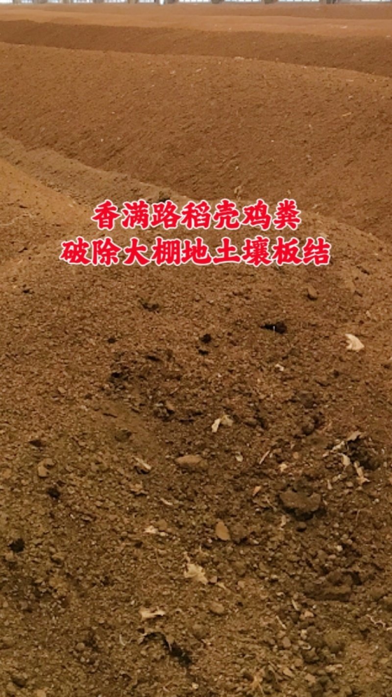 青岛鸡粪,枣庄发酵鸡粪,潍坊干鸡粪,济南晒干鸡粪,稻壳粪