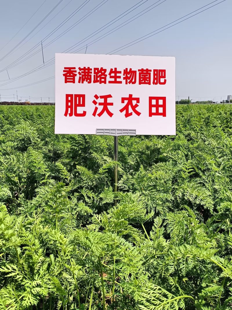 青岛鸡粪,枣庄发酵鸡粪,潍坊干鸡粪,济南晒干鸡粪,稻壳粪