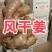 姜厂批发【新姜，老姜，水洗姜，干姜】坏烂包赔，全国发货