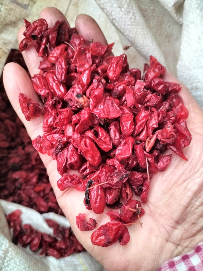 【精品】栾川山萸肉，山茱萸肉，一手货源，可视频看货