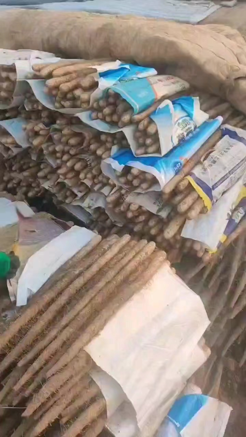 河北山药双棒山药对接电商市场社区团购欢迎致电