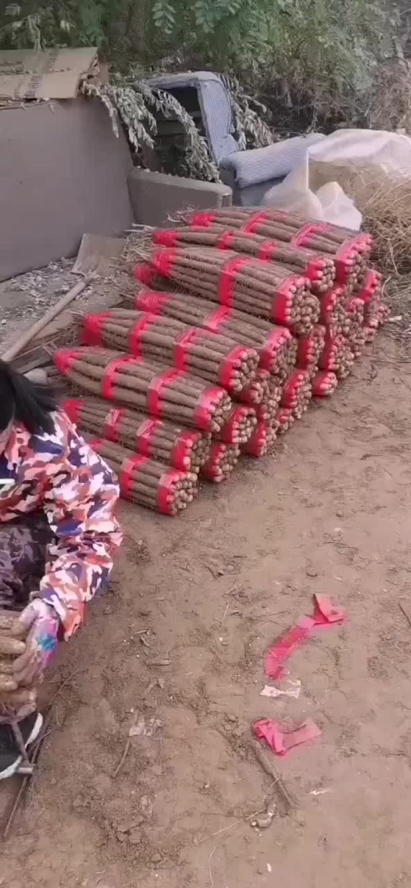 河北山药双棒山药对接电商市场社区团购欢迎致电