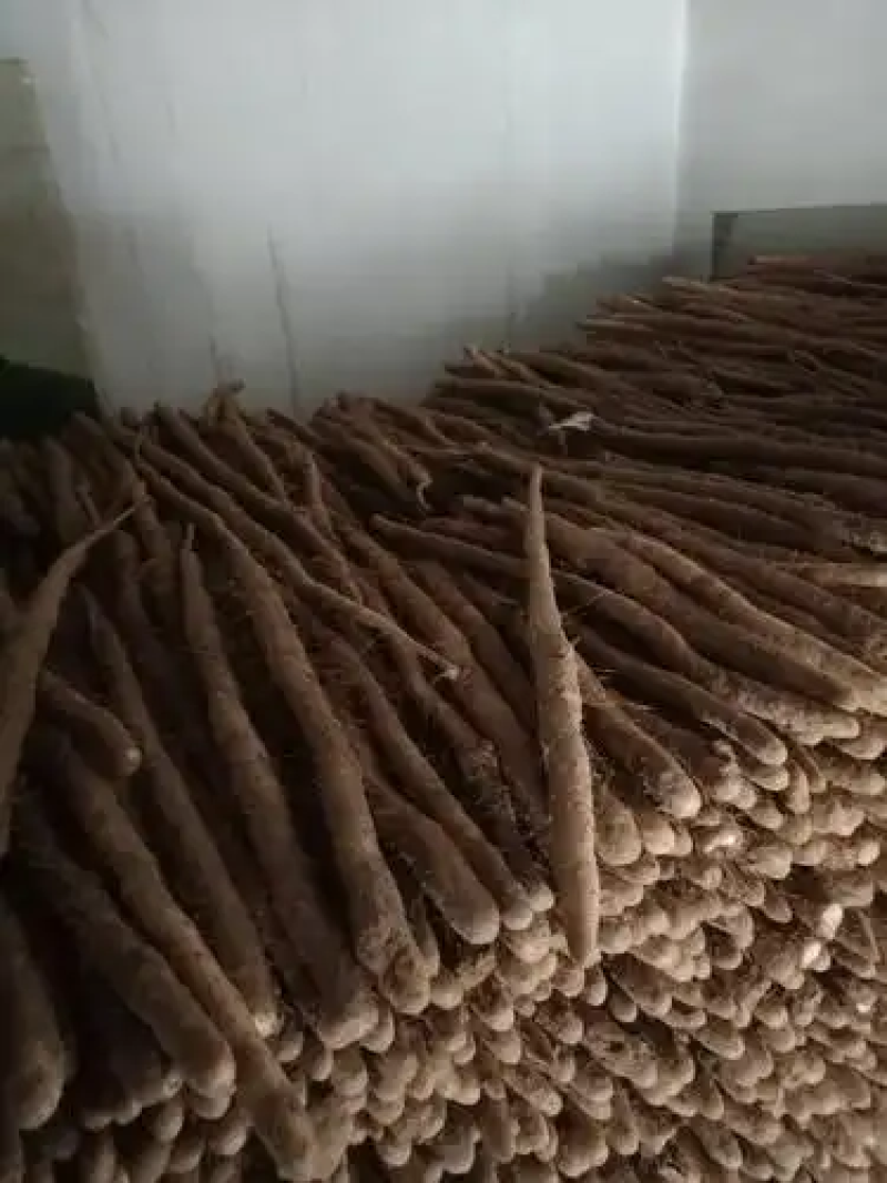 河北小白嘴山药基地直发供应电商市场社区团购视频看货