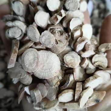 白芍统装白芍特价