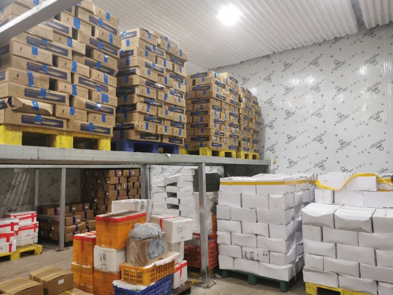 鱿鱼鱿鱼蛋鱿鱼饭鱿鱼籽批发零售品质佳