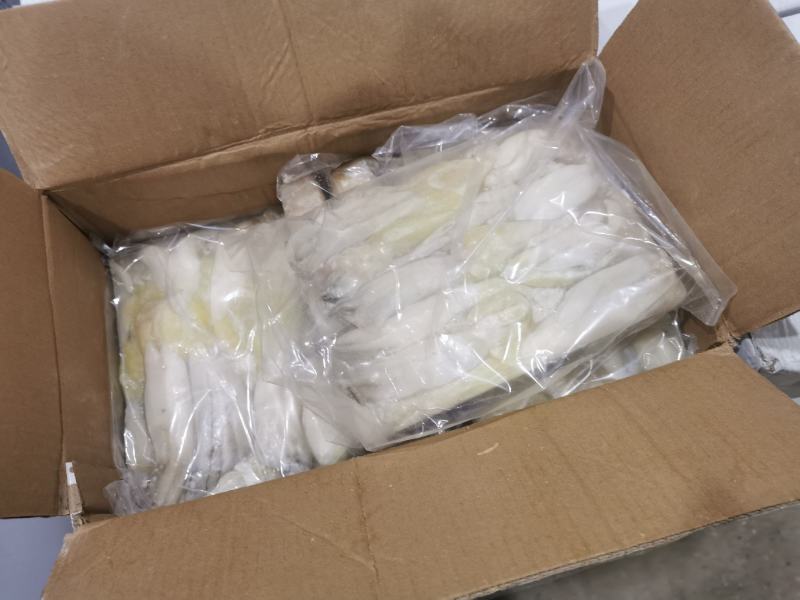 鱿鱼鱿鱼蛋鱿鱼饭鱿鱼籽批发零售品质佳