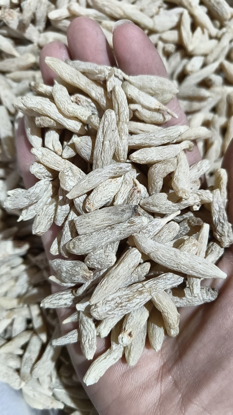 川麦冬自产自销规格齐全随时有货新鲜直供