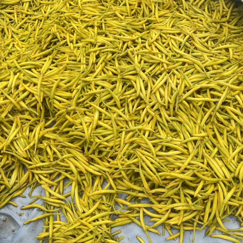 清水黄花菜，产地直供。