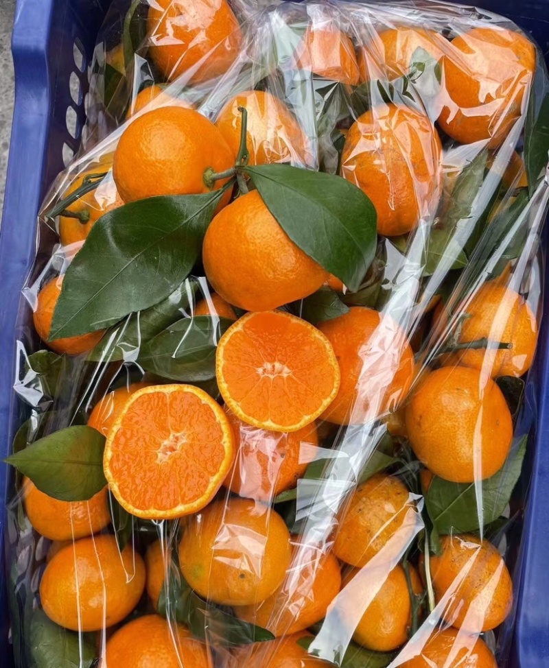 产区直供货源充足量大从优视频看货全国发货欢迎