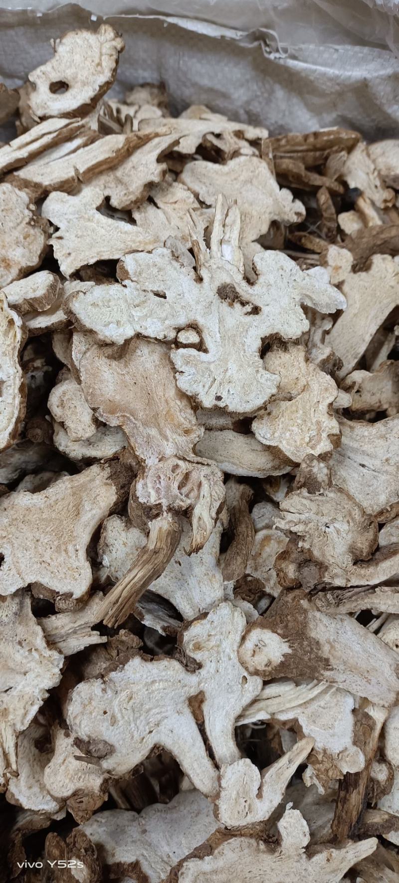 白术生白术炒白术各种规格，大小中片各种名贵药材冷背药材中药材
