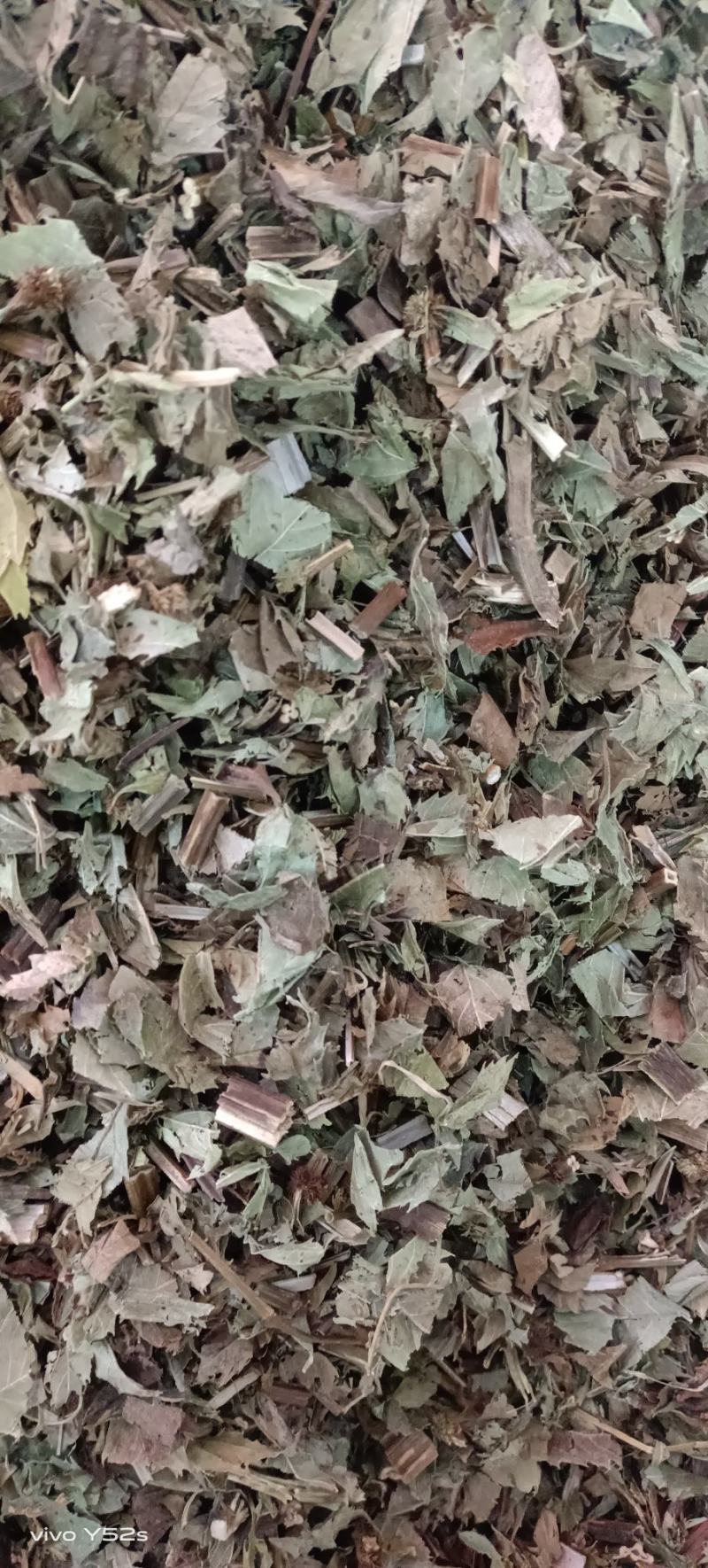 泽兰，产地直发，一手货源，零售兼批发需要的不要错过