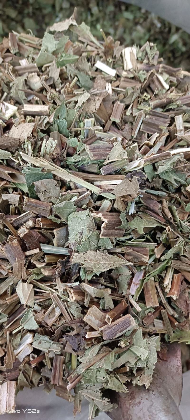 泽兰，产地直发，一手货源，零售兼批发需要的不要错过