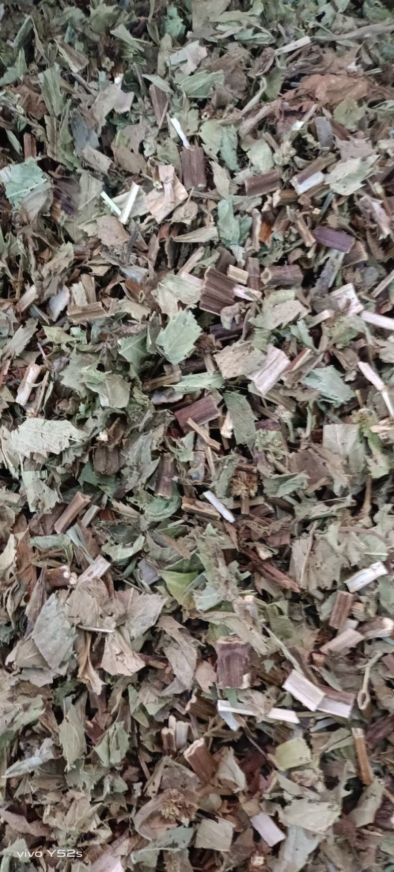 泽兰，产地直发，一手货源，零售兼批发需要的不要错过