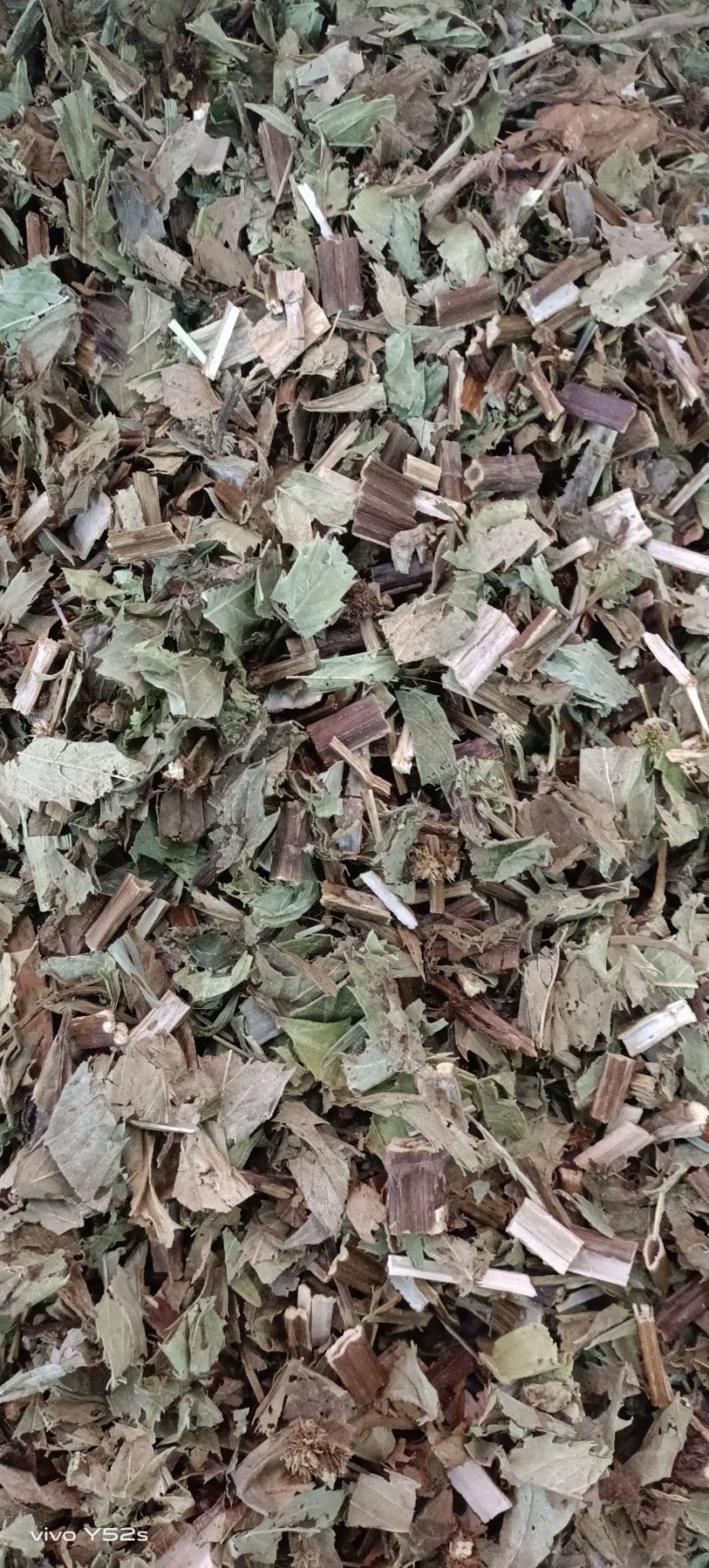 泽兰，产地直发，一手货源，零售兼批发需要的不要错过