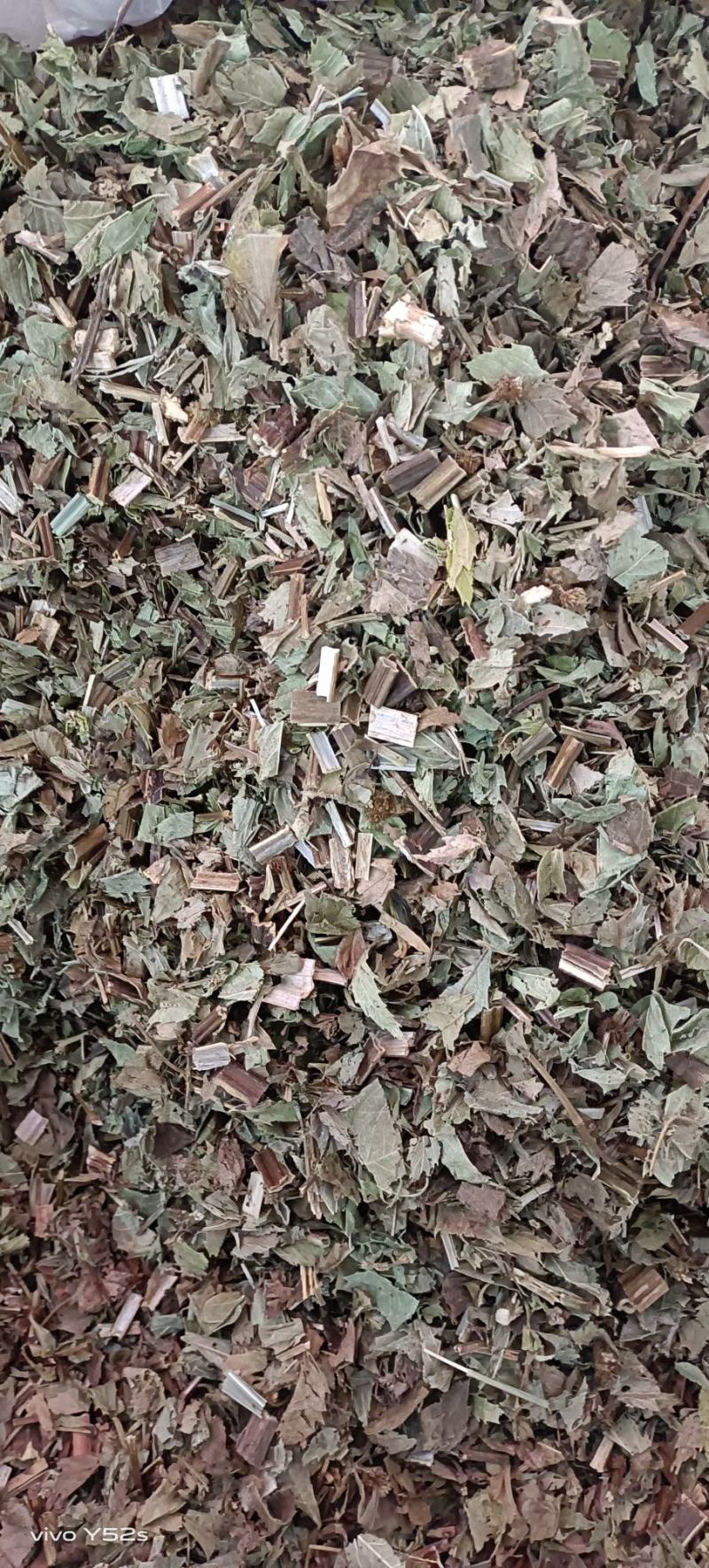 泽兰，产地直发，一手货源，零售兼批发需要的不要错过