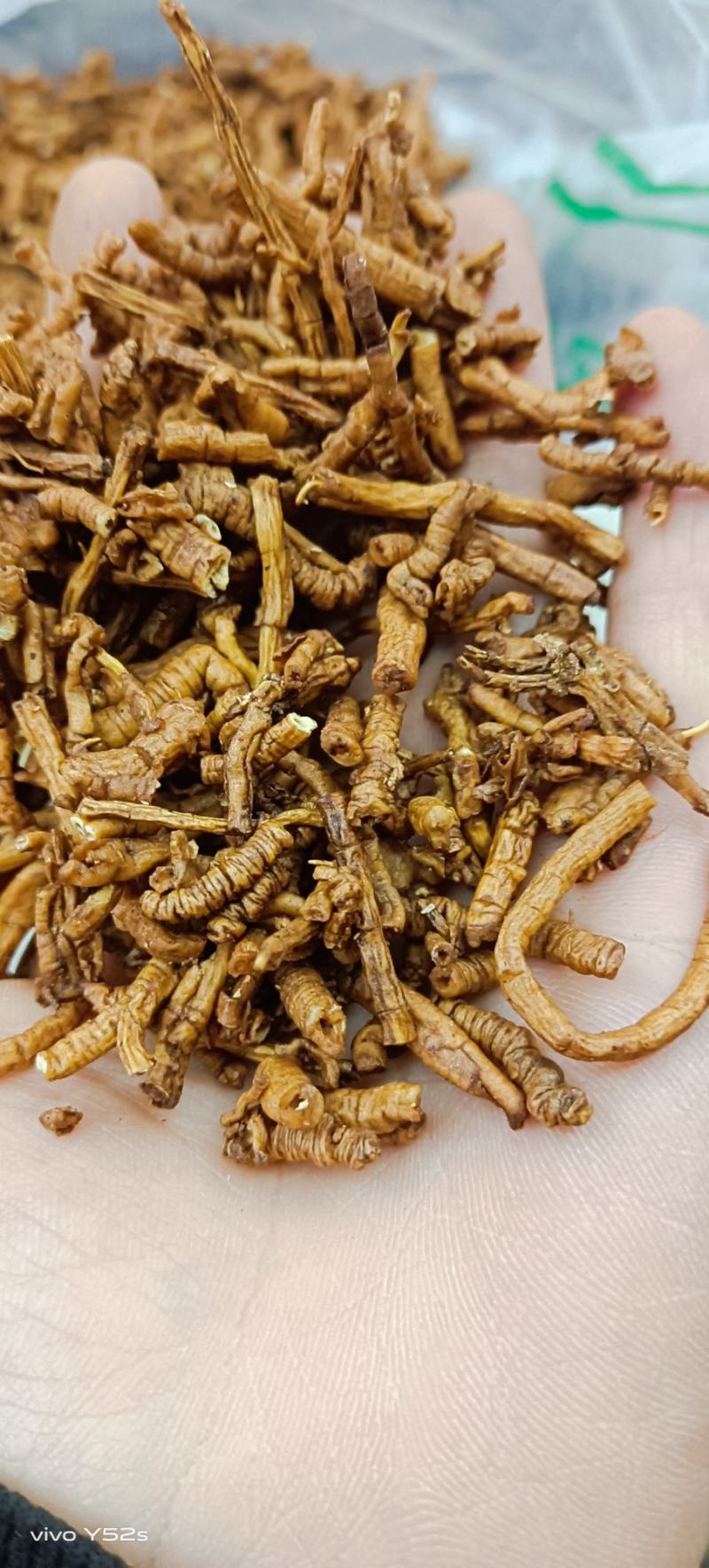 远志选货全抽心，主营各种中药材，生远志制远志远志