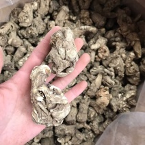 长期供应当归头，正品保障，一手货源，量大价优