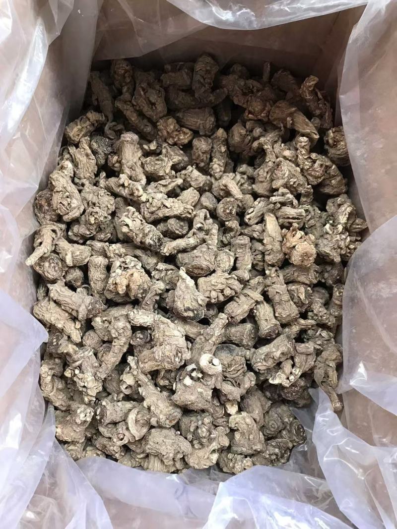 长期供应当归头，正品保障，一手货源，量大价优