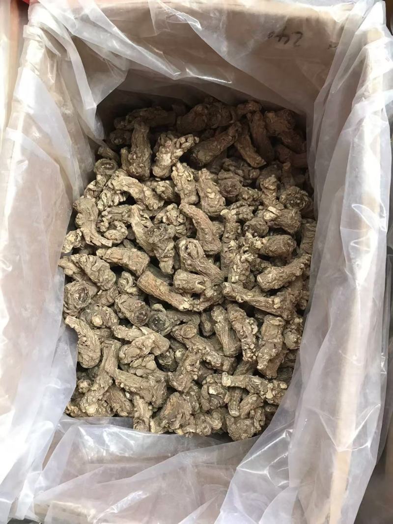 长期供应当归头，正品保障，一手货源，量大价优