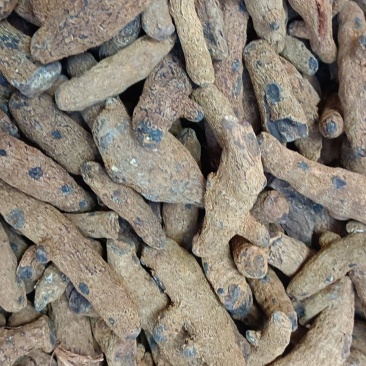 血三七，各种规格多种药材批发诚信经营给一个机会还你份信任