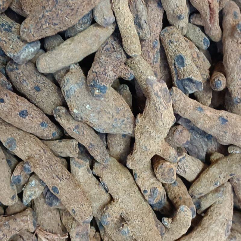 血三七，各种规格多种药材批发诚信经营给一个机会还你份信任