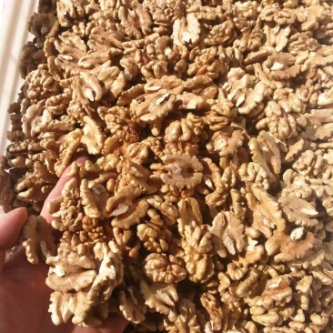 新疆纸皮核桃仁产地直发保质保量可视频看货