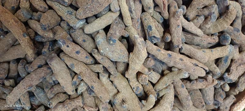 血三七，各种规格多种药材批发诚信经营给一个机会还你份信任