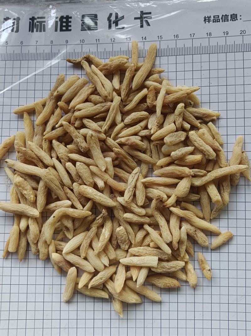 麦冬，山麦冬，山东，新货产地直发实拍现货24小时内发货