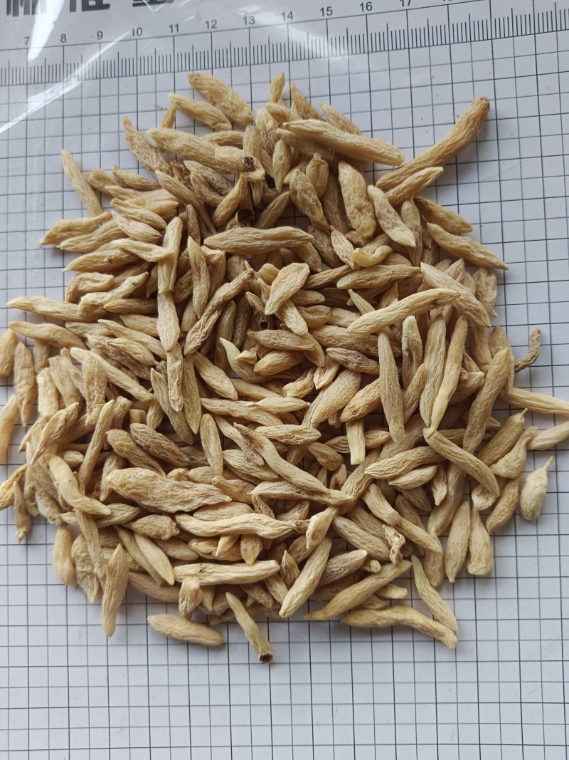 麦冬，山麦冬，山东，新货产地直发实拍现货24小时内发货