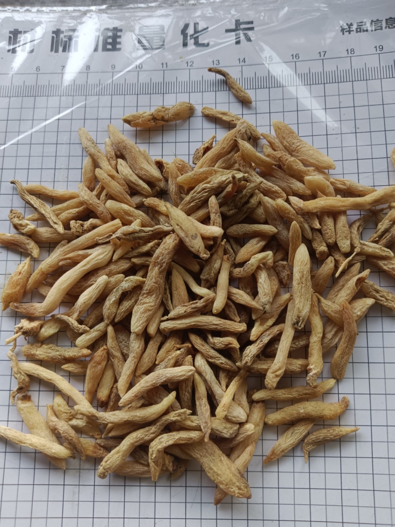 麦冬，山麦冬，山东，新货产地直发实拍现货24小时内发货