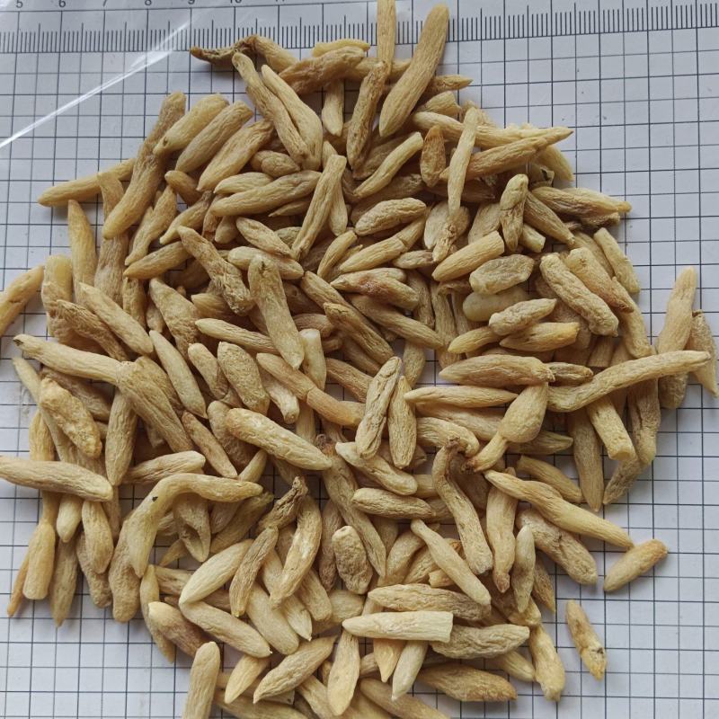 麦冬，山麦冬，山东，新货产地直发实拍现货24小时内发货